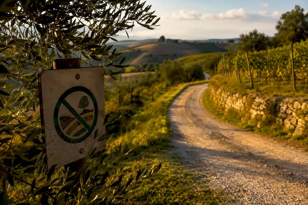 Tuscan road with landscape protection sign